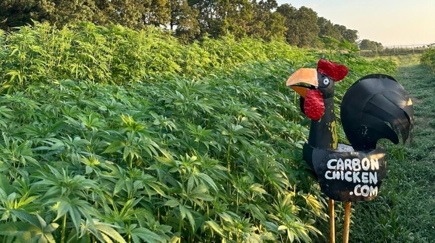 Carbon Chicken receives $591,000 USDA grant for carbon-negative agriculture initiative