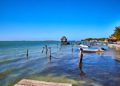 Gulf of Mexico dead zone shrinks to 1,332 square miles in 2026