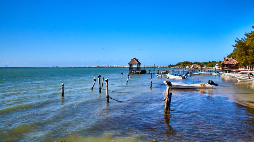 Gulf of Mexico’s nutrient pollution dead zone reaches 6,700 square miles in 2024