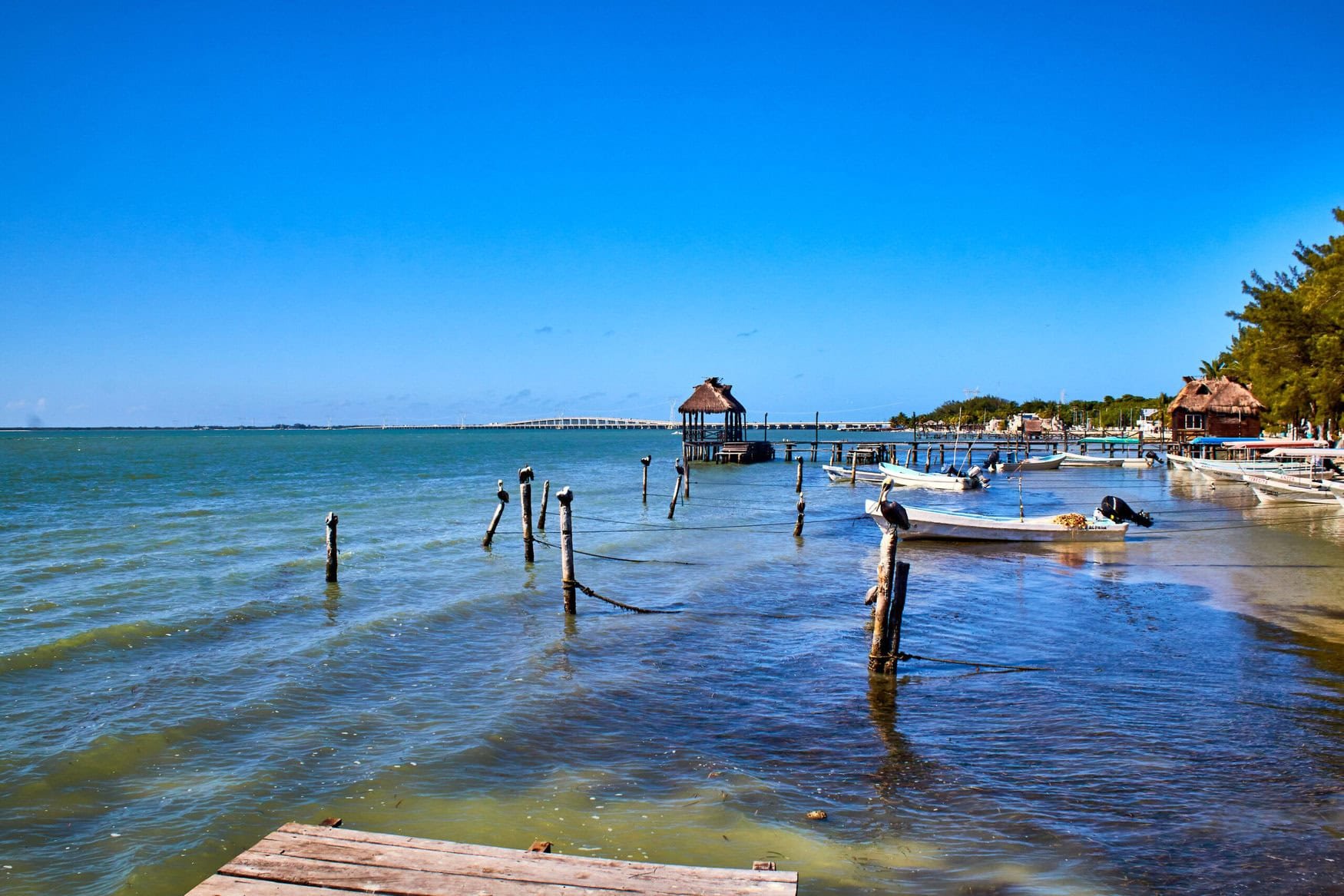 Gulf of Mexico’s nutrient pollution dead zone reaches 6,700 square miles in 2024