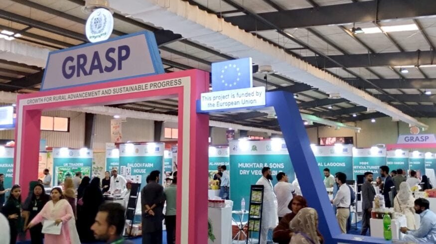 FoodAg-2024: a catalyst for Pakistan’s agri-export boom