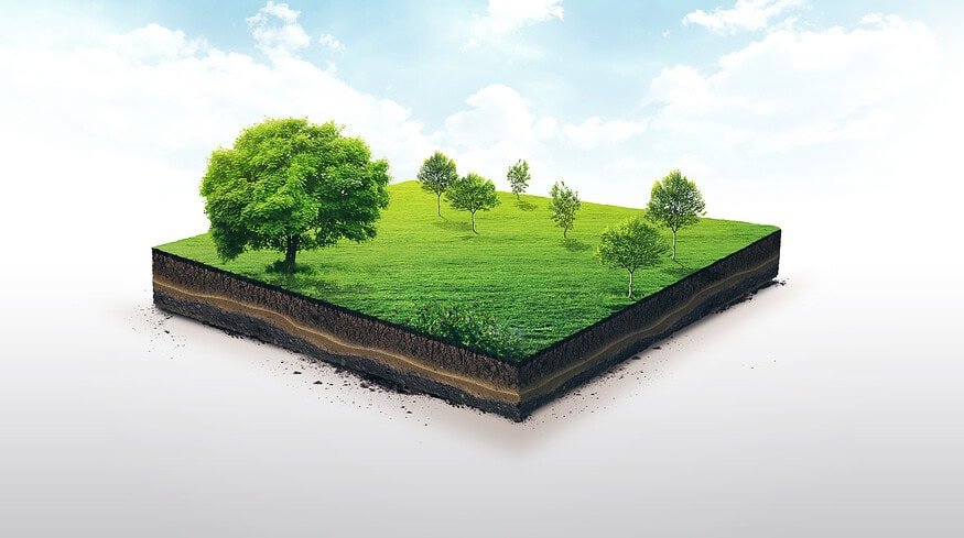 Soil microbial composition restores within 60 years after farming ceases — study