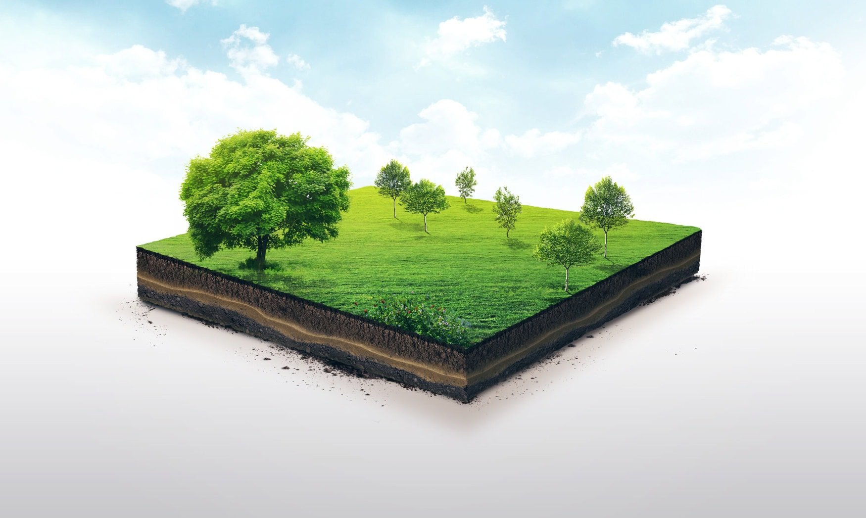 Soil microbial composition restores within 60 years after farming ceases — study