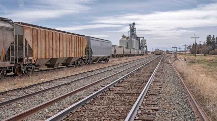 Tatarstan dispatches first wheat shipment to China