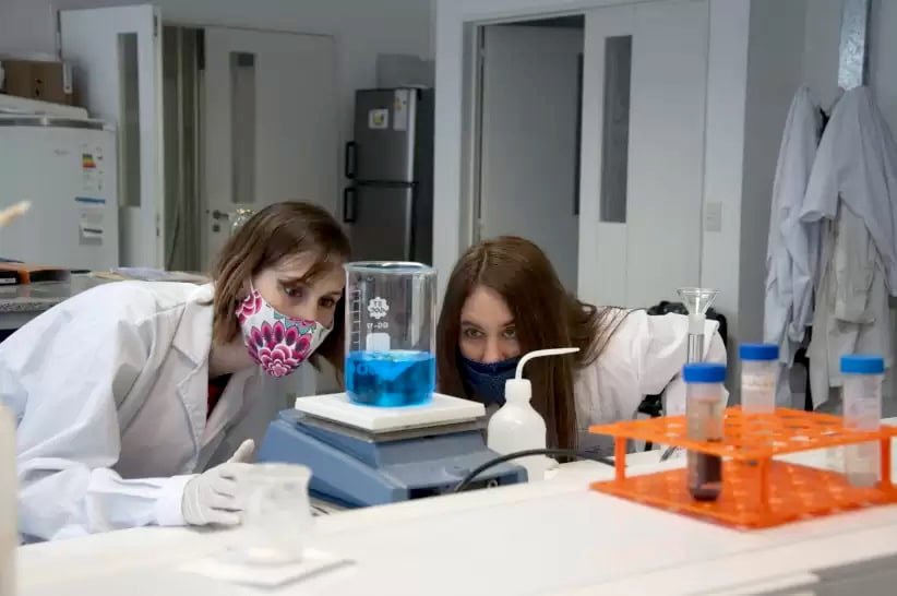 Innovative startup from Argentina taps prawn waste to cut agrochemical use