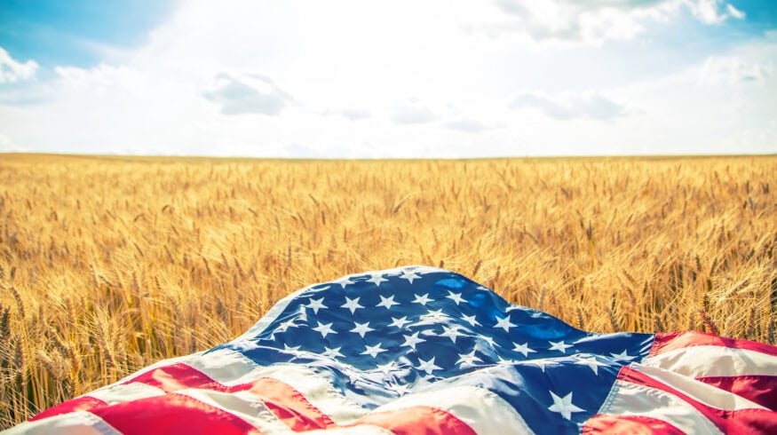 USDA approves Bioceres HB4 drought tolerant wheat for cultivation