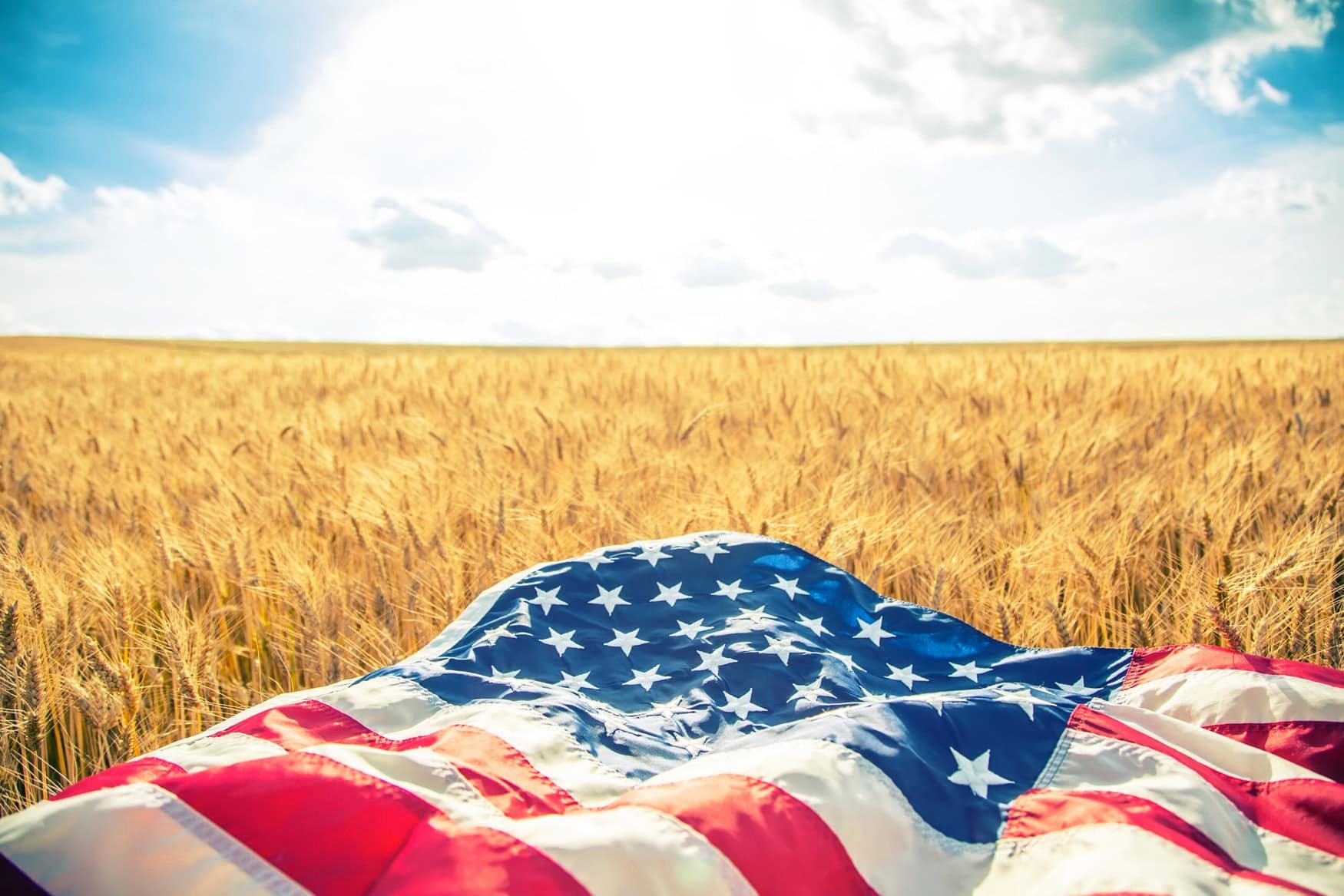 USDA approves Bioceres HB4 drought tolerant wheat for cultivation