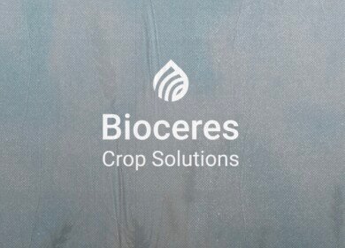 Bioceres ends 2024 fiscal year on high note with advances in agricultural biotech