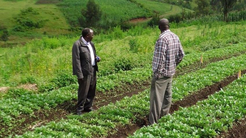 Syngenta launches ‘Climate Smart Project’ in North India