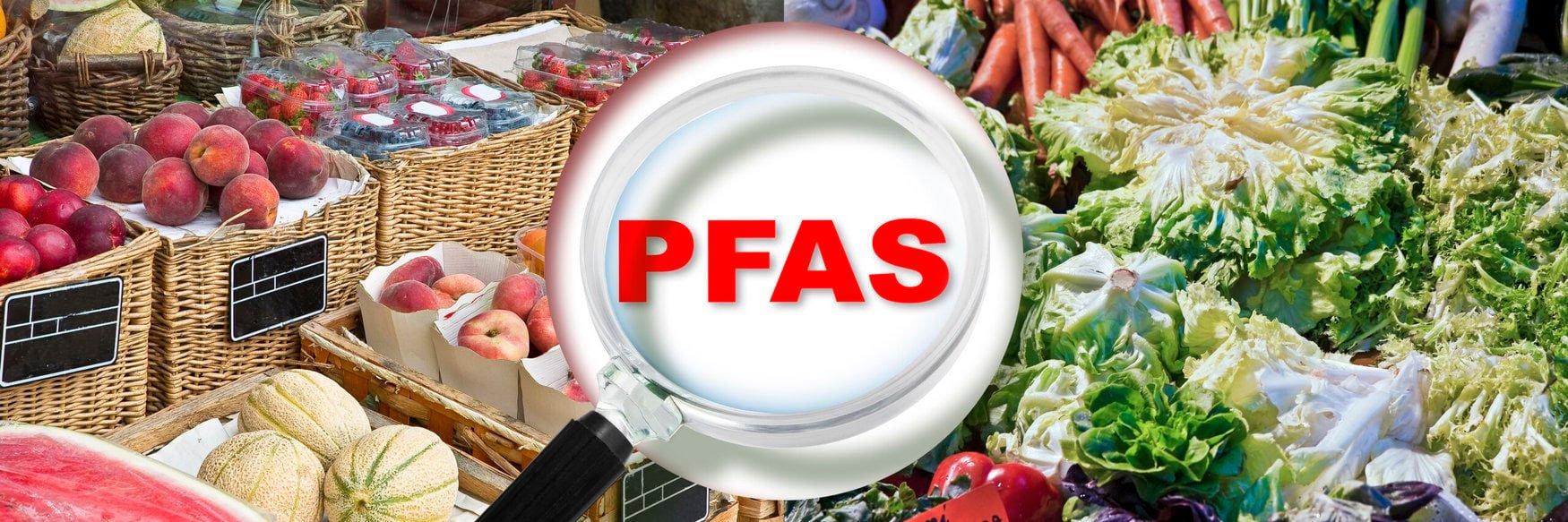 Texas Tech takes on ‘forever chemicals’ in farming with $1.6 million EPA grant