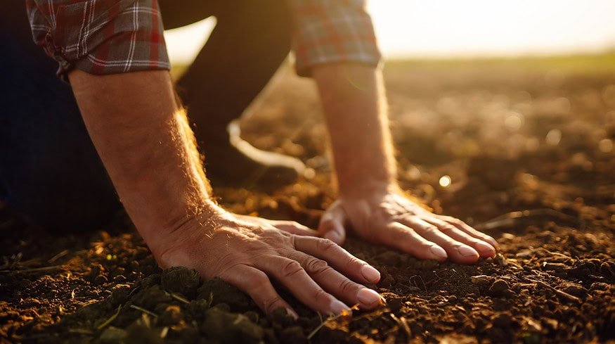 Soil profile tests can help you reduce fertilizer costs