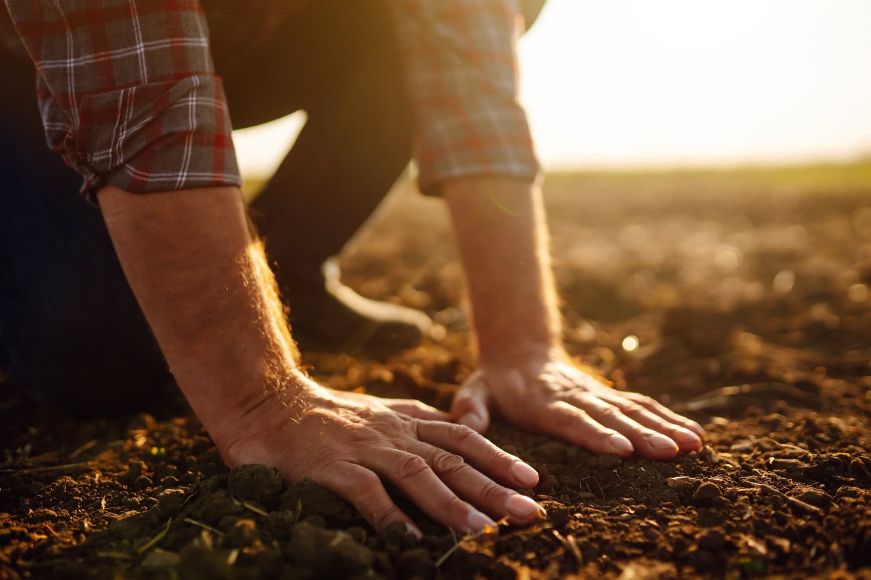 Soil profile tests can help you reduce fertilizer costs