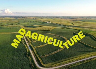Mad Agriculture acquires Timeless Seeds to expand America’s regenerative organic farming