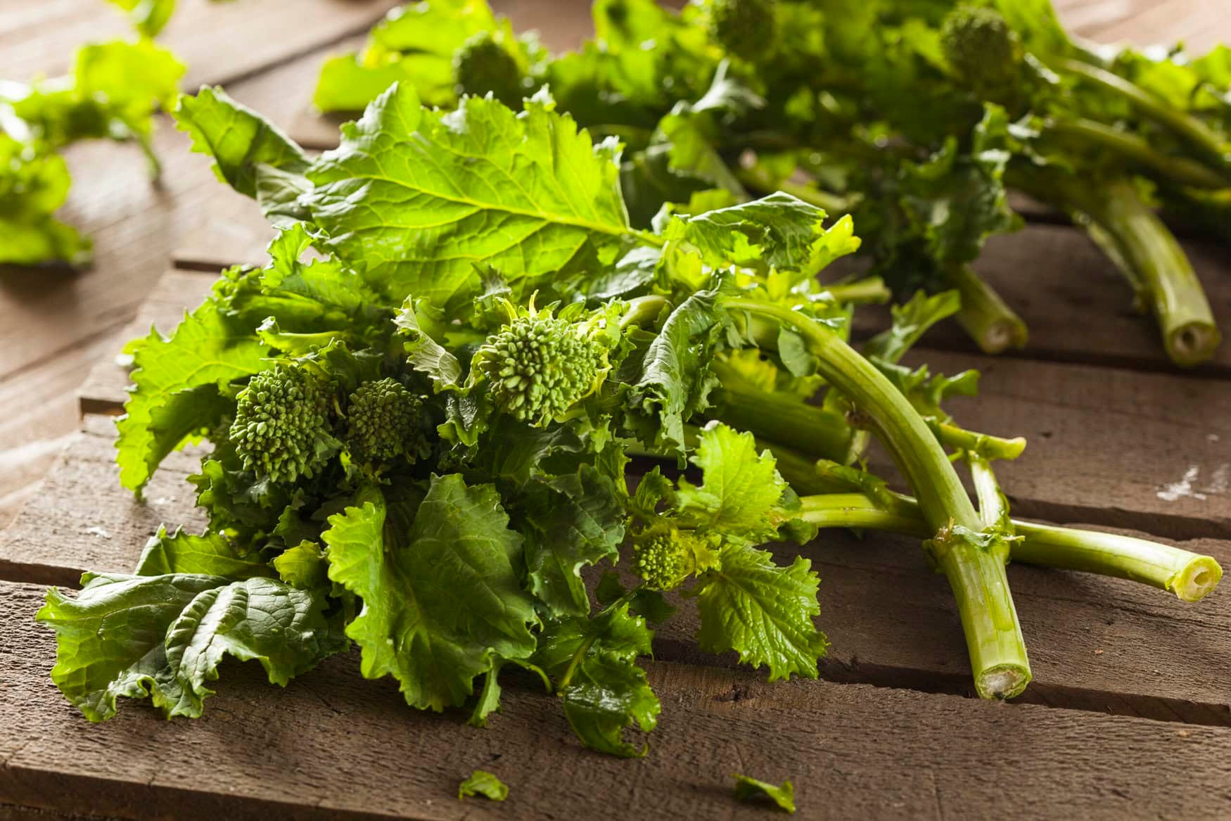 Organic Raw Green Broccoli Rabe Rapini on a Background