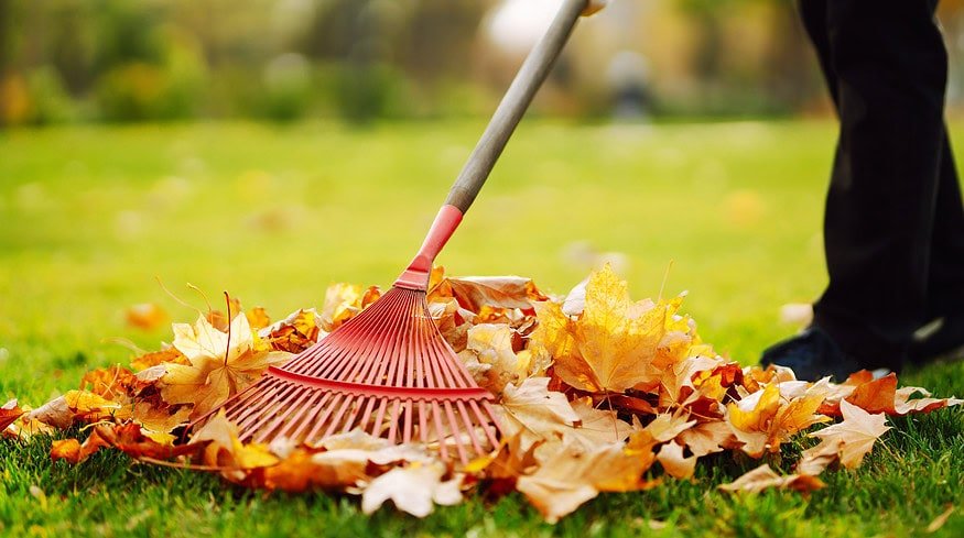 How to transition your garden for fall?