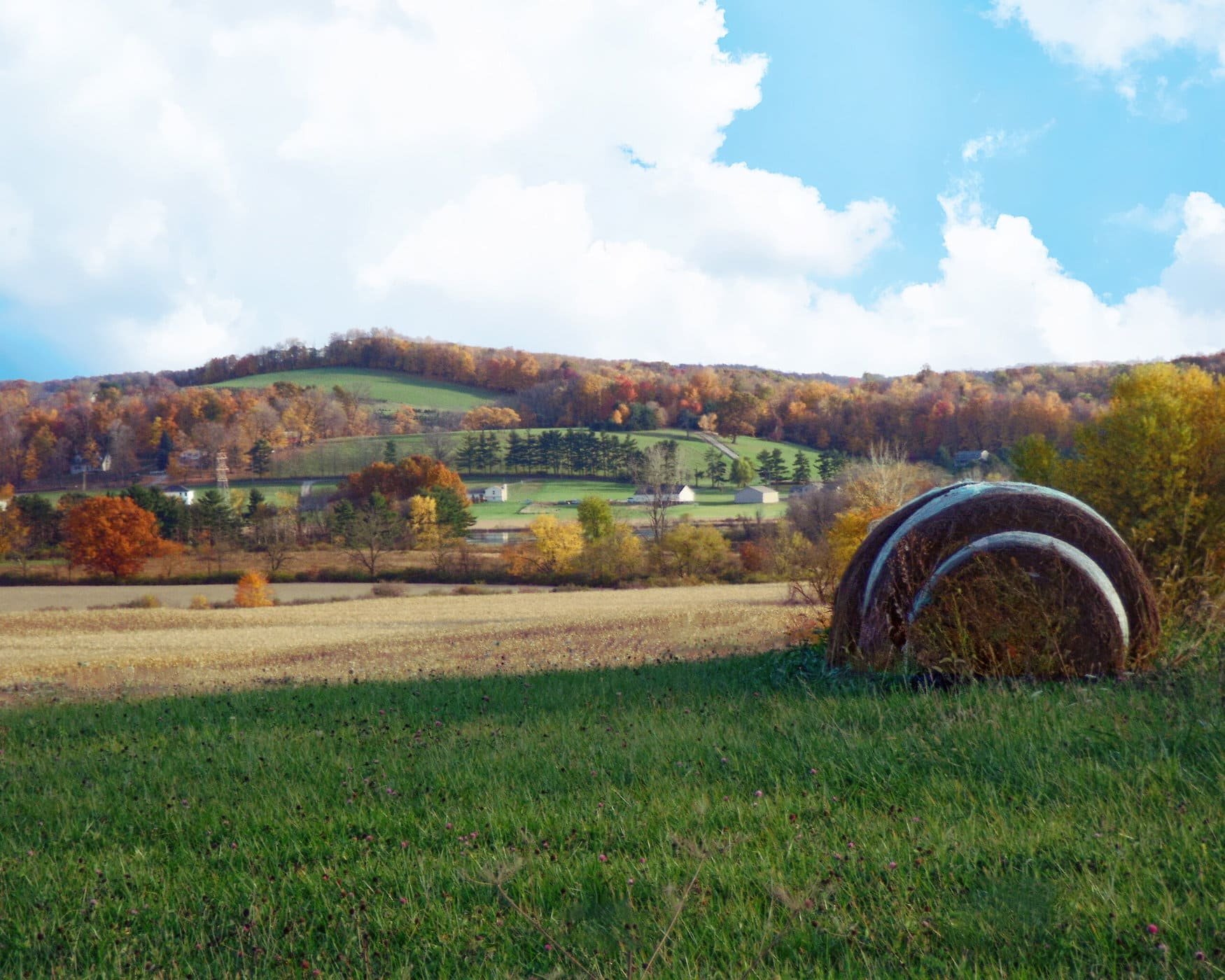Ohio faces ‘new benchmark for dry’ as drought impacts 2024 crop yields