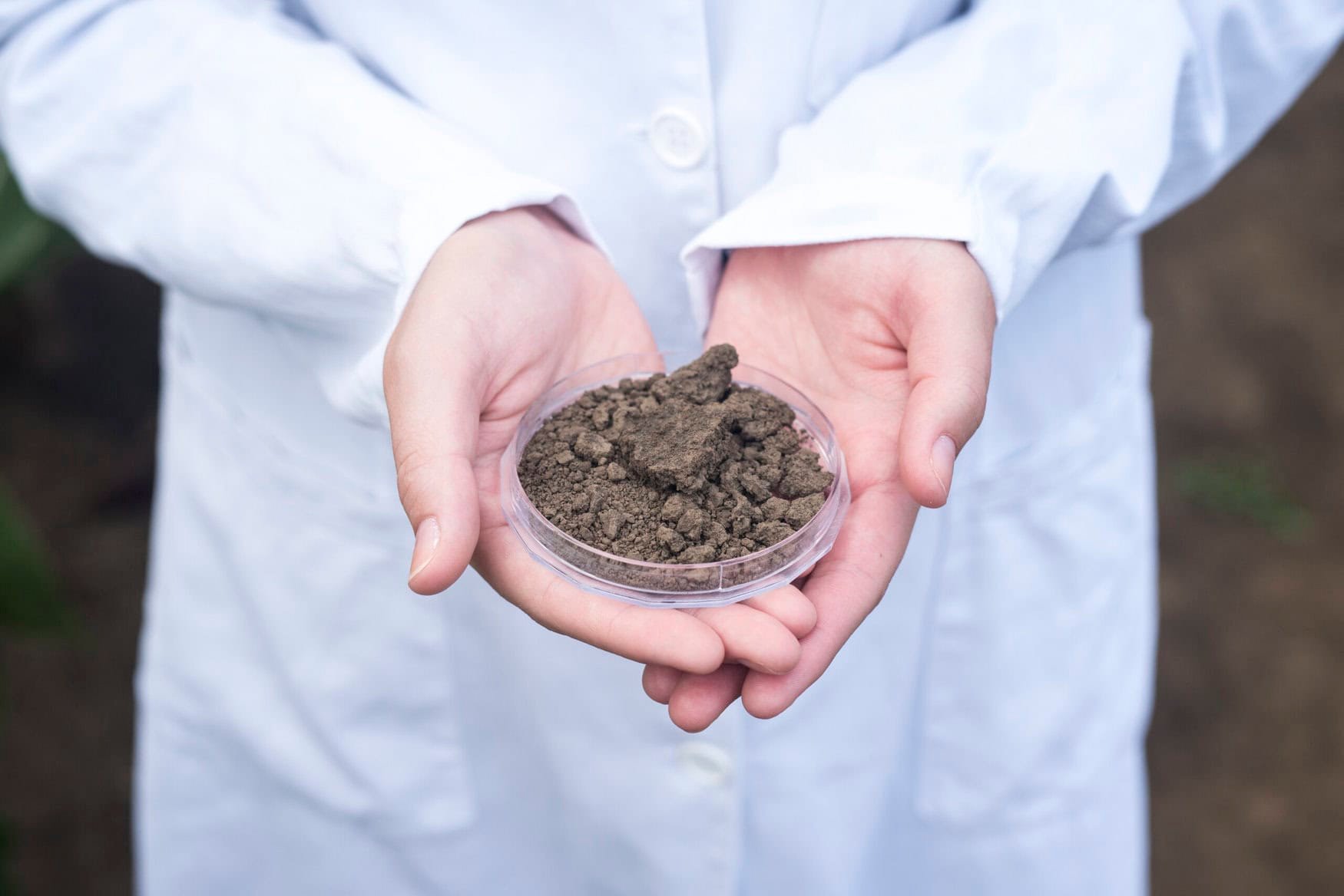Scientist holding soil sample for testing in the field. Laboratory examination for soil fertility and food production.