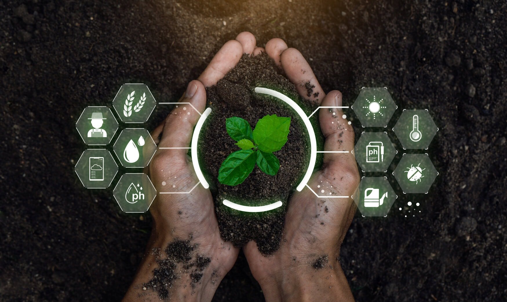 AI revolutionizes farming practices in Kenya