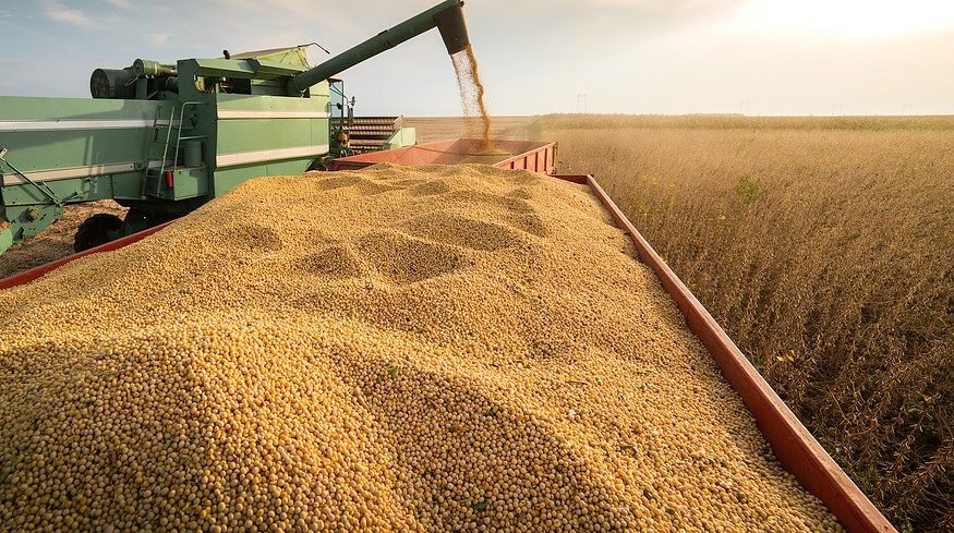 ADM to idle Iowa soy facility amid record harvest