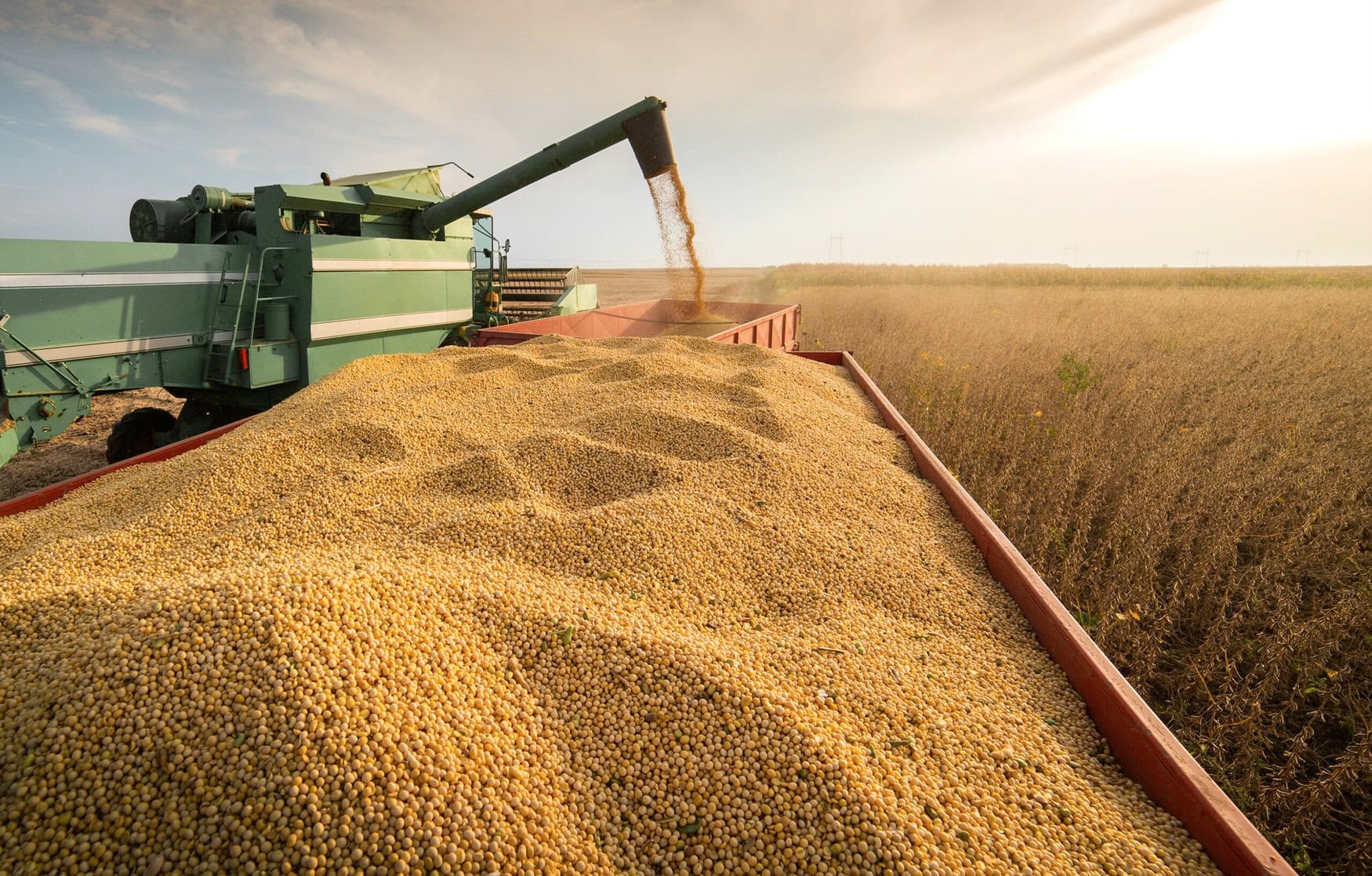 ADM to idle Iowa soy facility amid record harvest