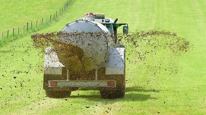 Researchers find new link between organic farming and carbon storage