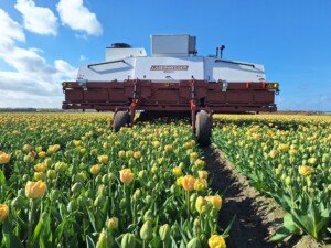 Carbon Robotics secures $70 million in Series D funding to enhance agricultural robotics