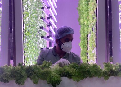 Revolutionizing agriculture: AI-driven hydroponic farming achieves major milestones in sustainability