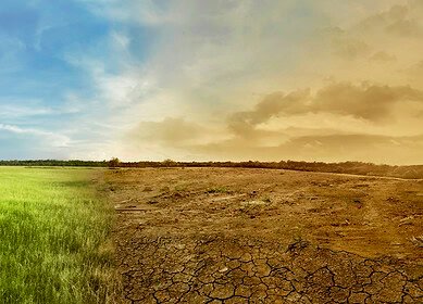 China’s battle against desertification: Innovative approaches and community engagement in Maqu County
