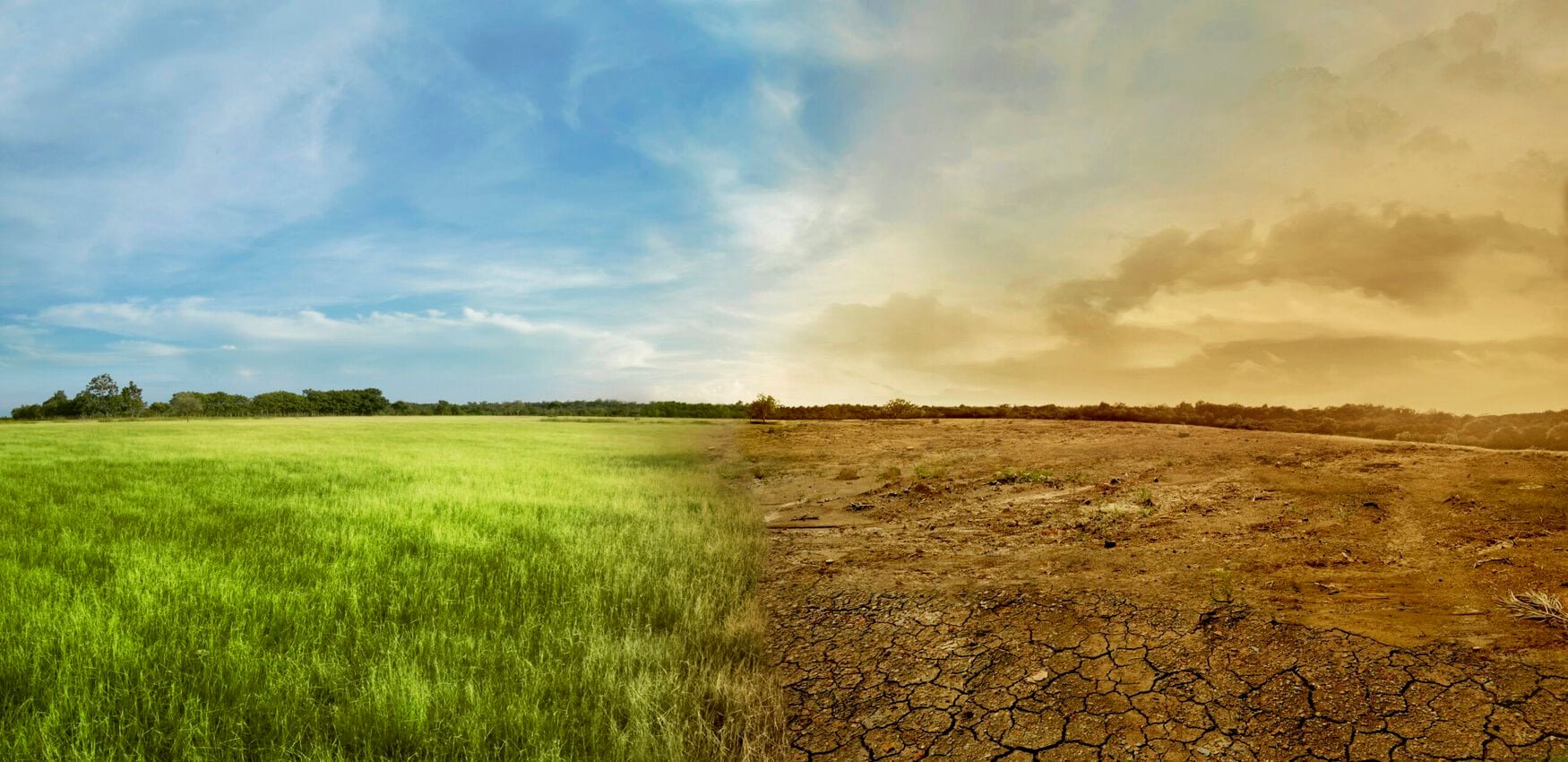 China’s battle against desertification: Innovative approaches and community engagement in Maqu County