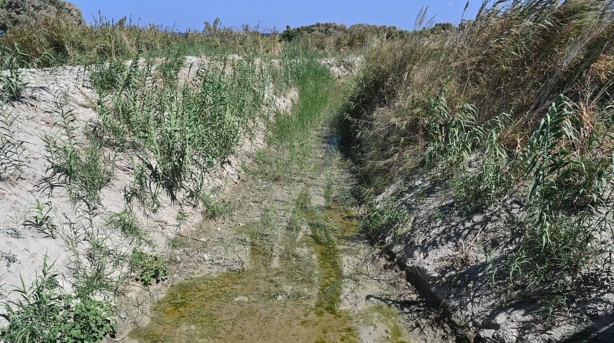 UPL’s TOP DECK herbicide gains California approval for aquatic vegetation control