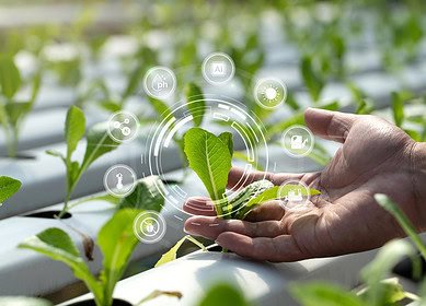 City farms may lead the future of high-tech agriculture