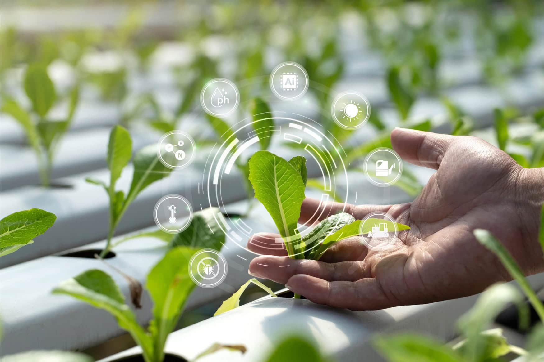 City farms may lead the future of high-tech agriculture