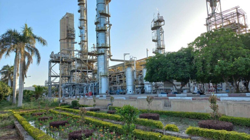 Maple Leaf Cement makes aggressive bid for Agritech