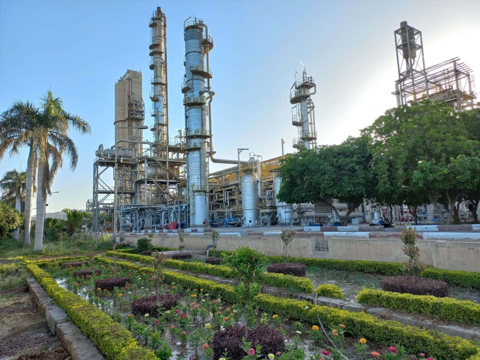 Maple Leaf Cement makes aggressive bid for Agritech