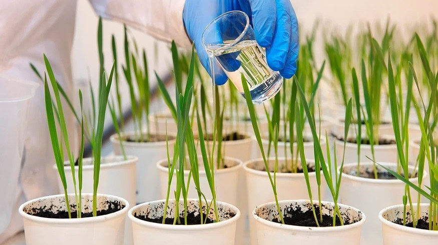 Avgust is creating the largest artificial climate complex in Russia