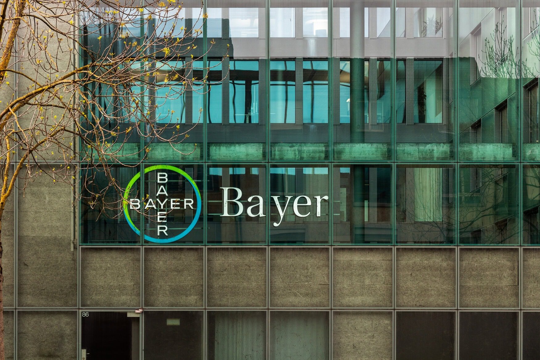 Bayer’s shares are pressed down by ongoing Roundup cancer lawsuit