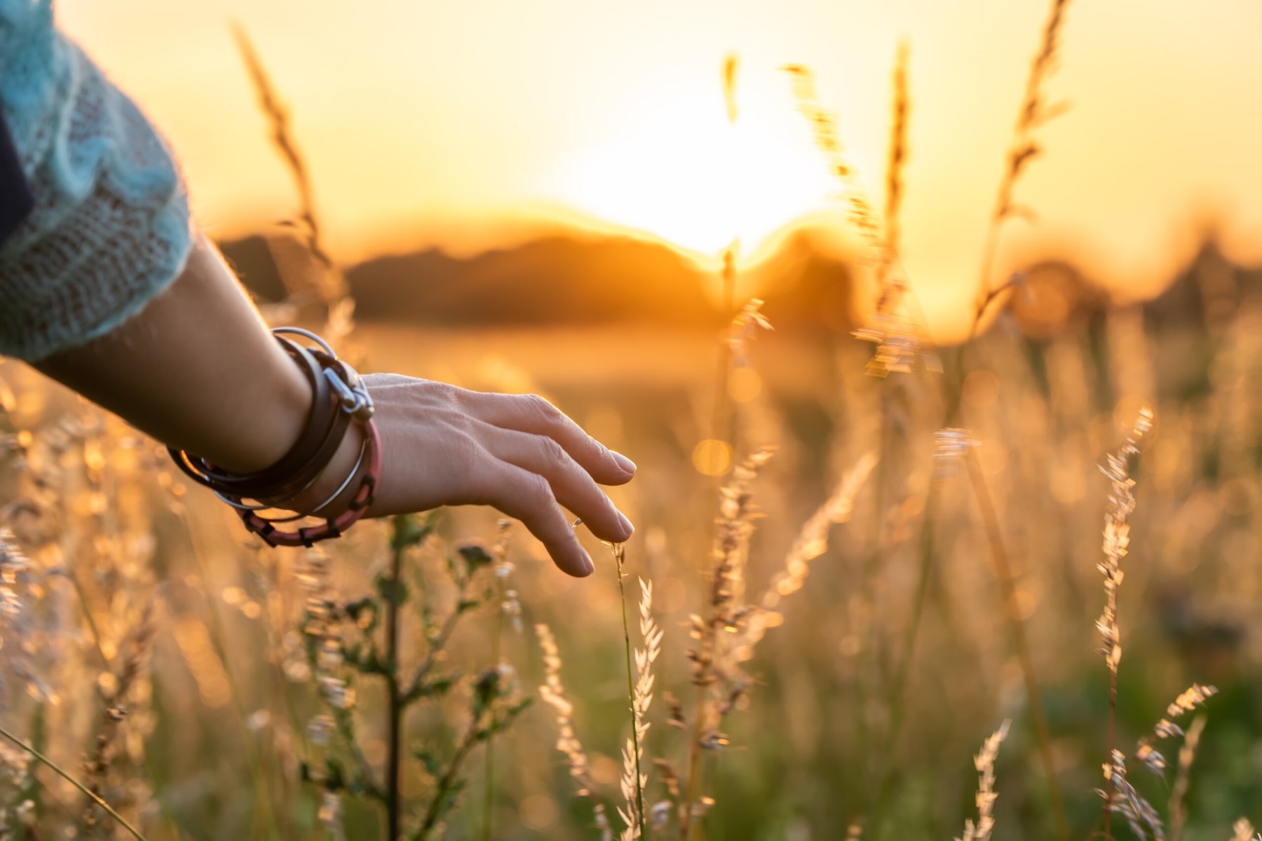 New research could simplify genetic transfer of nitrogen fixation to food crops
