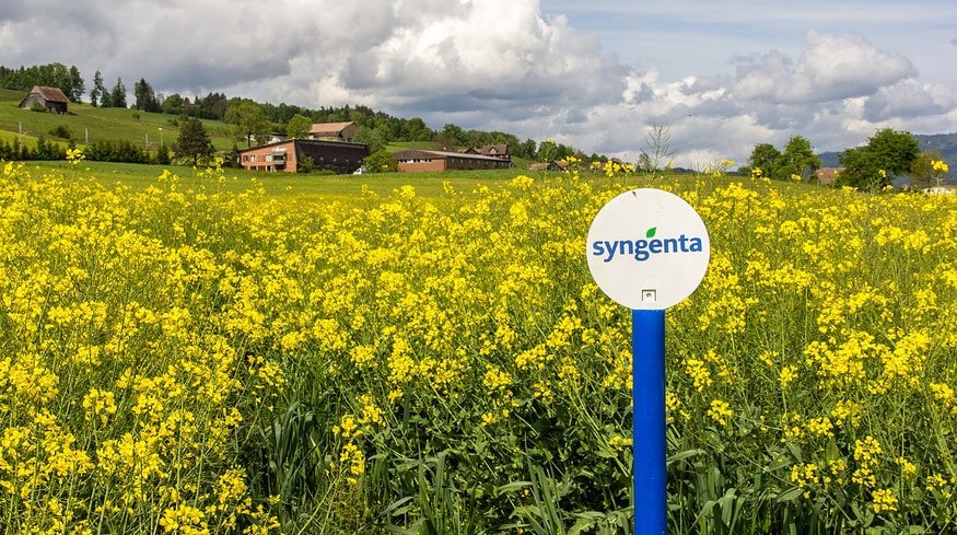 Syngenta reports mixed Q3 2024 financials citing poor weather and challenging market conditions