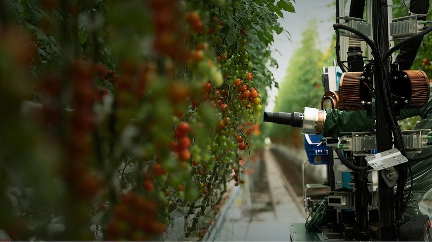 Four Growers develops robots to address greenhouse labor shortages