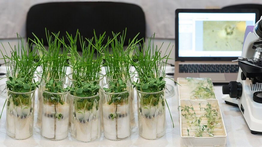 Expanding agricultural genomics: Solis adds Ferris bioinformatics platform