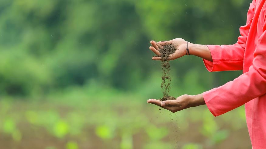 India’s US$20-billion fertilizer subsidies inadvertently encourages overuse of fertilizers