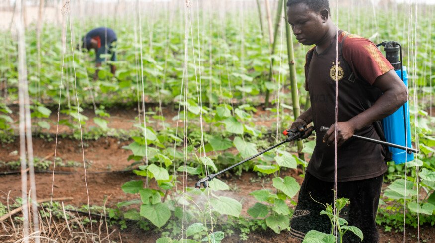 Nigeria faces severe hunger crisis affecting 33 million people