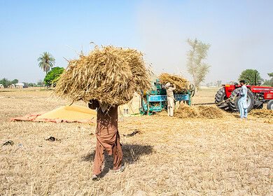 IMS Research says Pakistan faces a difficult agricultural year in 2025