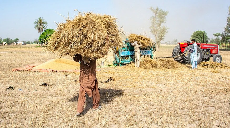 IMS Research says Pakistan faces a difficult agricultural year in 2025