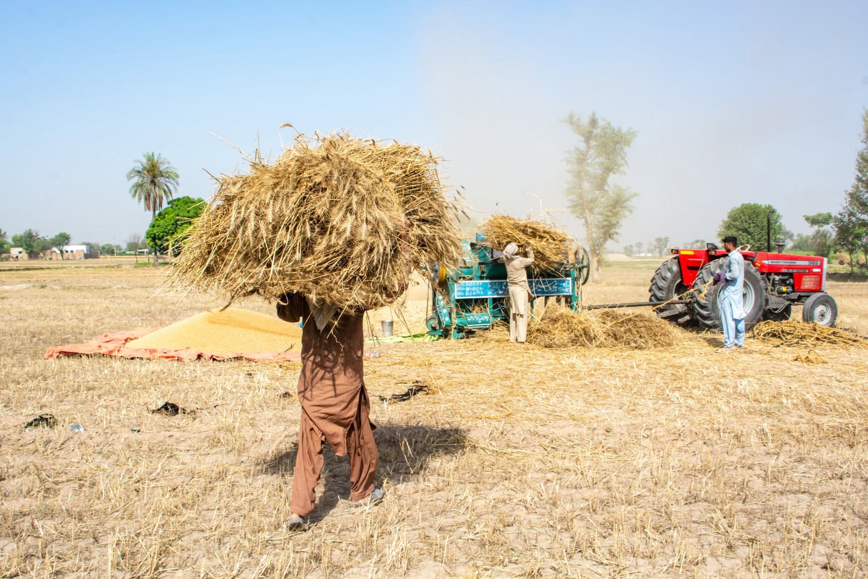 IMS Research says Pakistan faces a difficult agricultural year in 2025