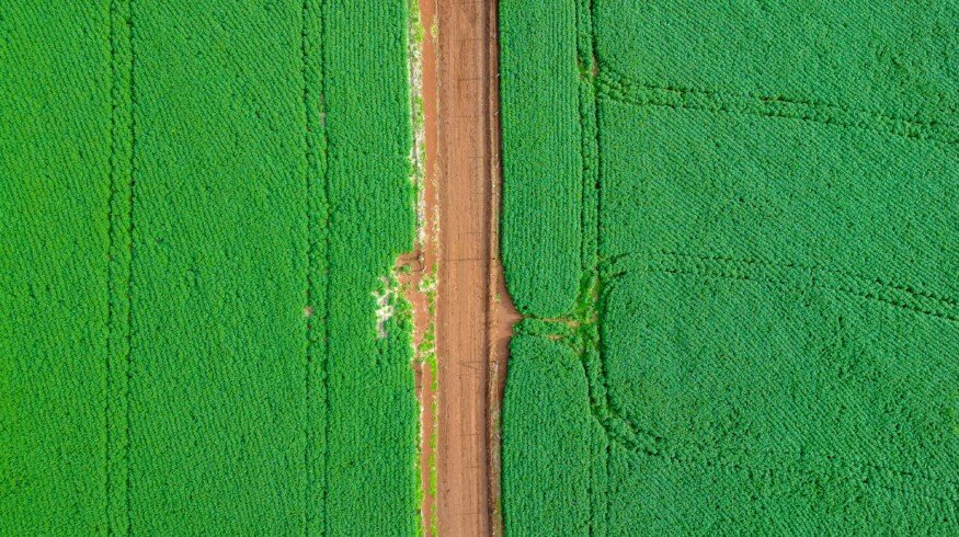 Cromai unveils app for enhanced weed monitoring in Brazil