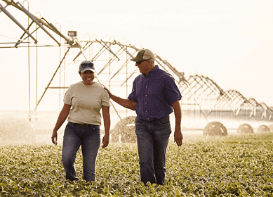 How Land O’Lakes is using AI to revolutionize farming practices