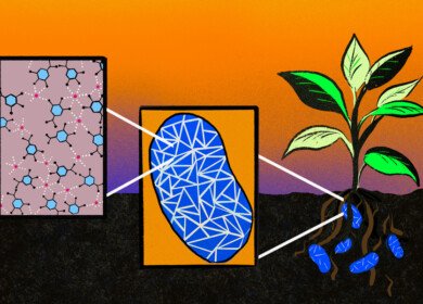 Drought-resistant seed coatings, microbial fertilizers and stress-detecting sensors may help adapt to climate change
