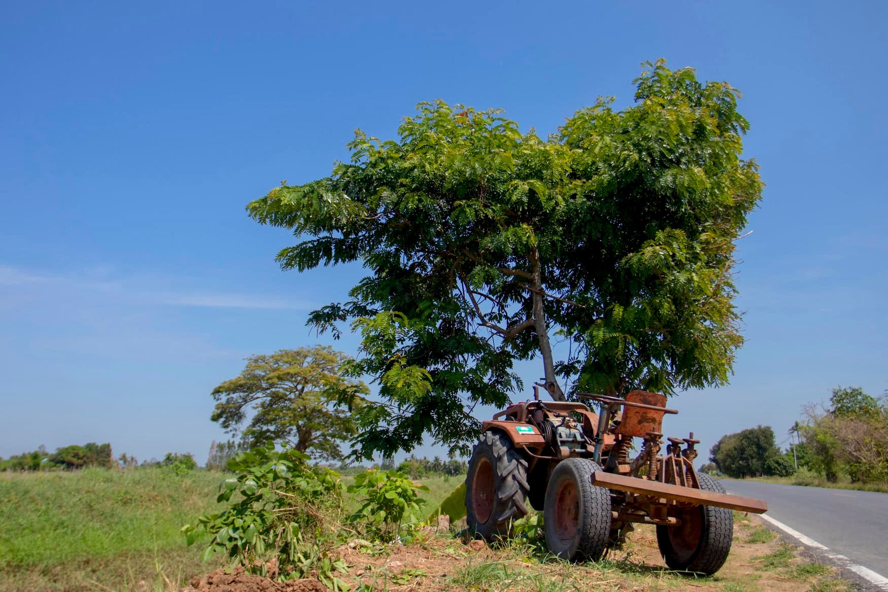 Farmers turn to used agricultural machinery for more affordable solutions