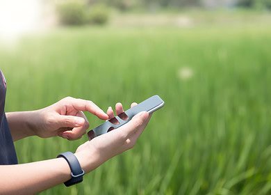 New mobile app will help Nebraska farmers to stop overapplying nitrogen fertilizer